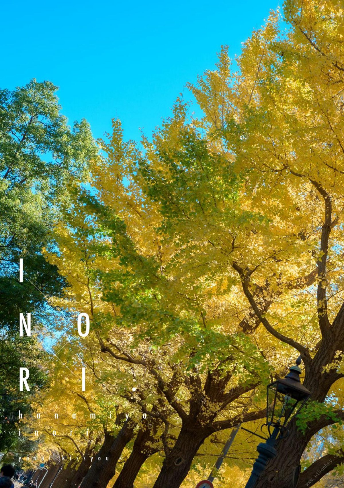 Photobook INORI 花宮いのり 1st e book Wunder_Publishing_House A 0003 3027336372.jpg