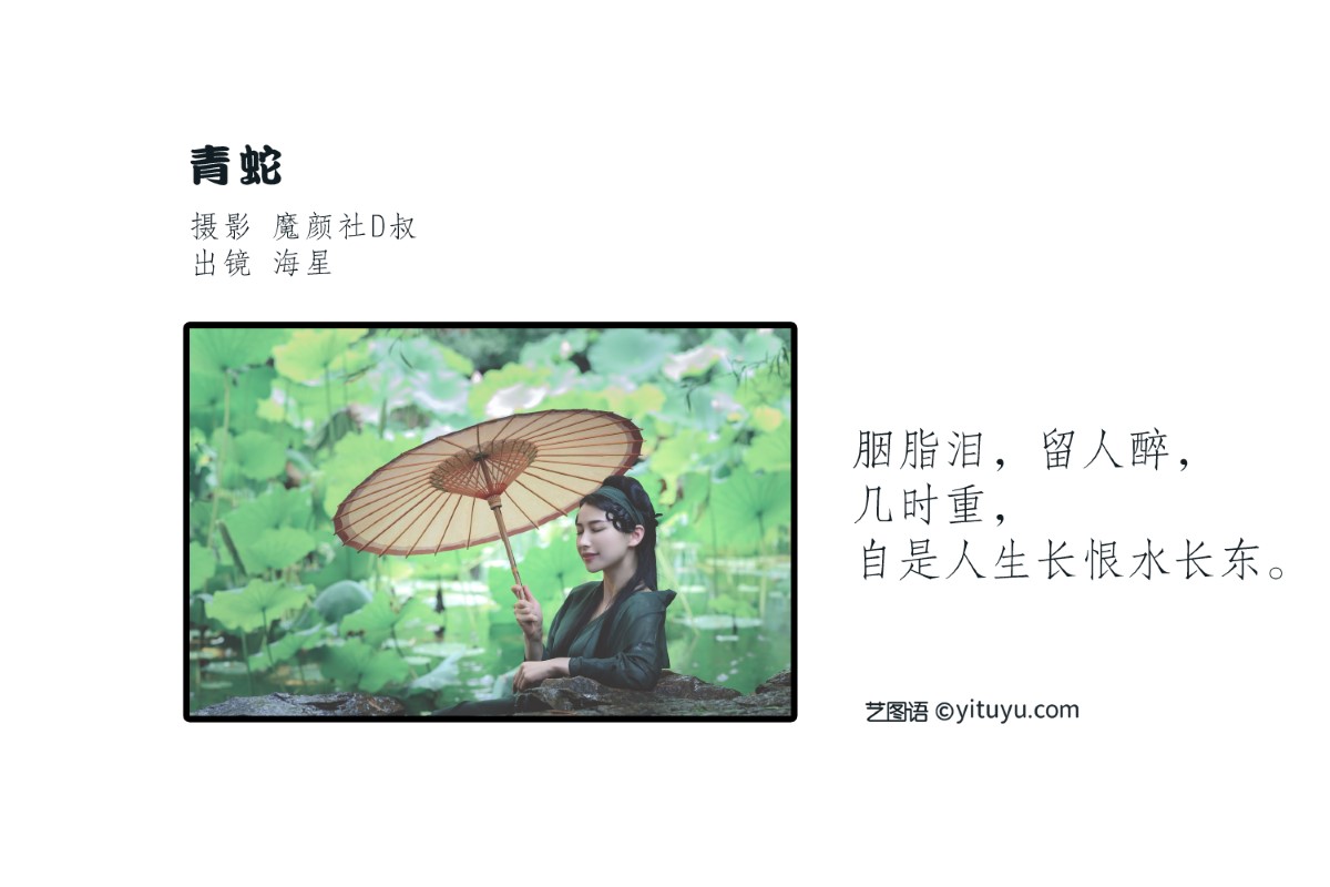 YiTuYu艺图语 Vol 1596 Hai Xing Xing seastar 0001 2711854380.jpg