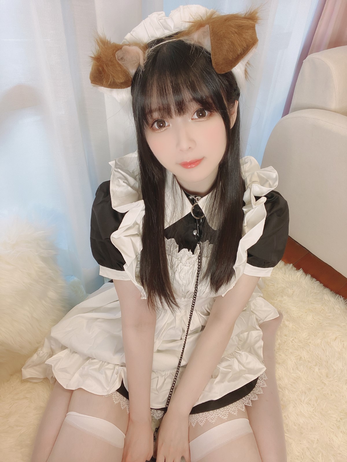 Coser@Shimo Puppy Maid 0001 3259591599.jpg