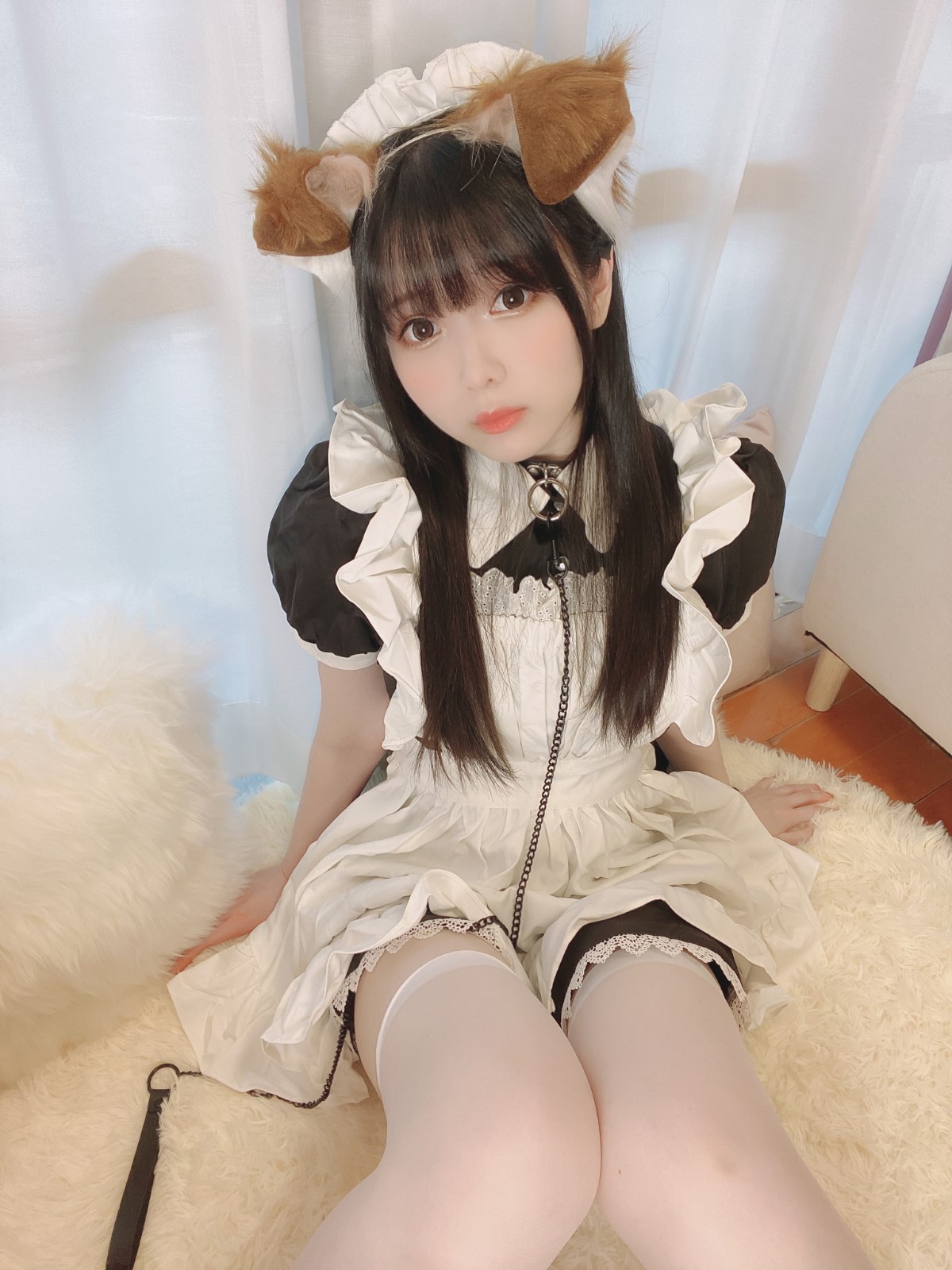 Coser@Shimo Puppy Maid 0002 3259580904.jpg