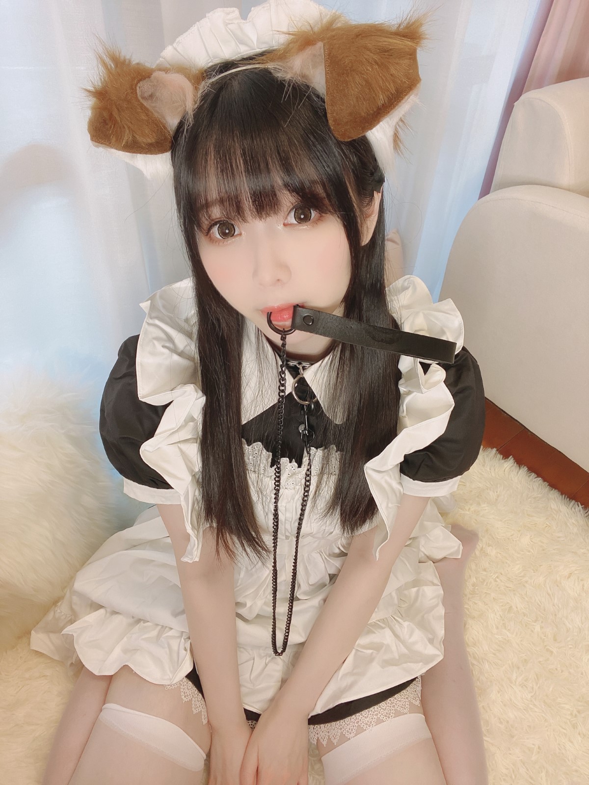 Coser@Shimo Puppy Maid 0008 5533292088.jpg