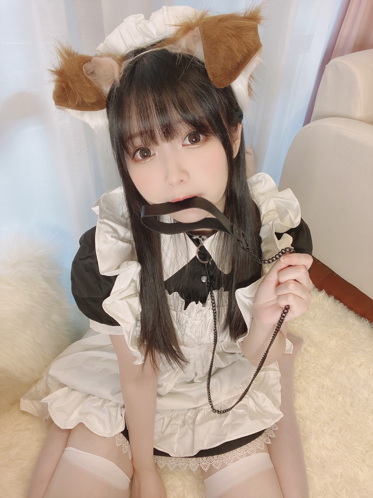 Coser@Shimo Puppy Maid 0015 4110505797.jpg