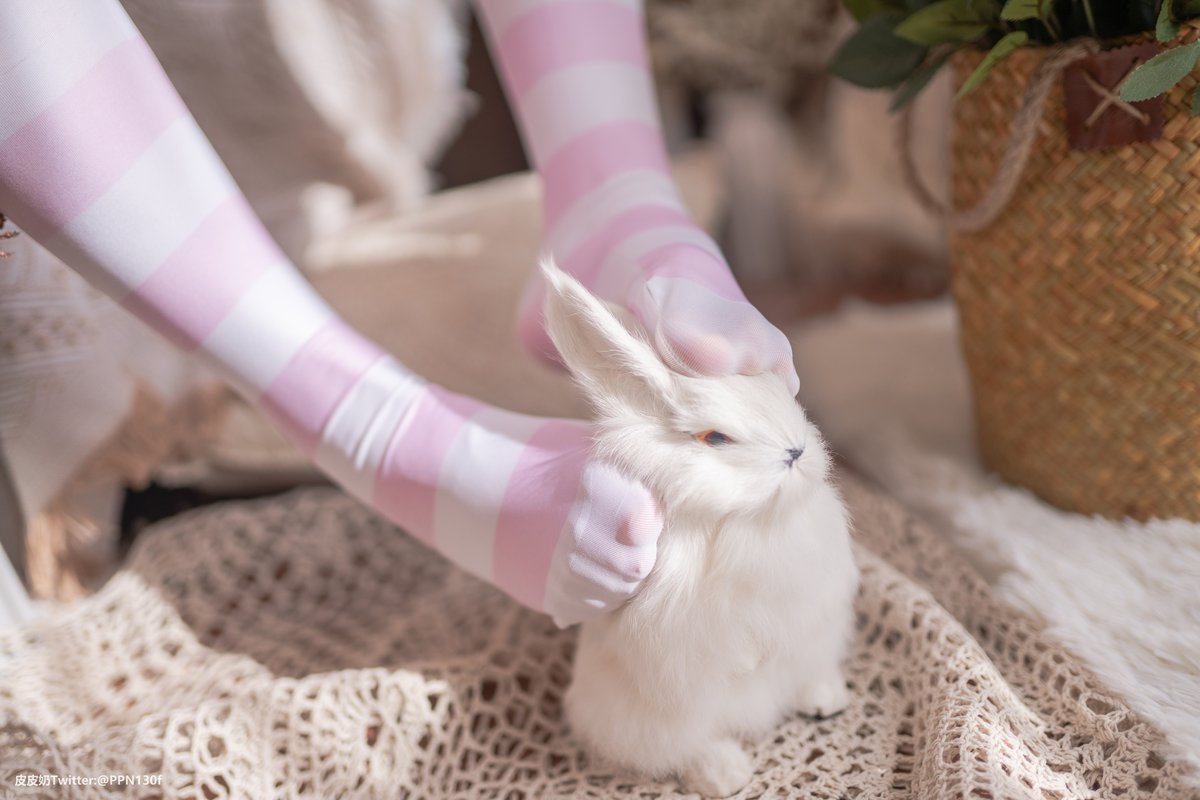 Coser@皮皮奶可可爱了啦 粉色兔兔 0053 6284961602.jpg