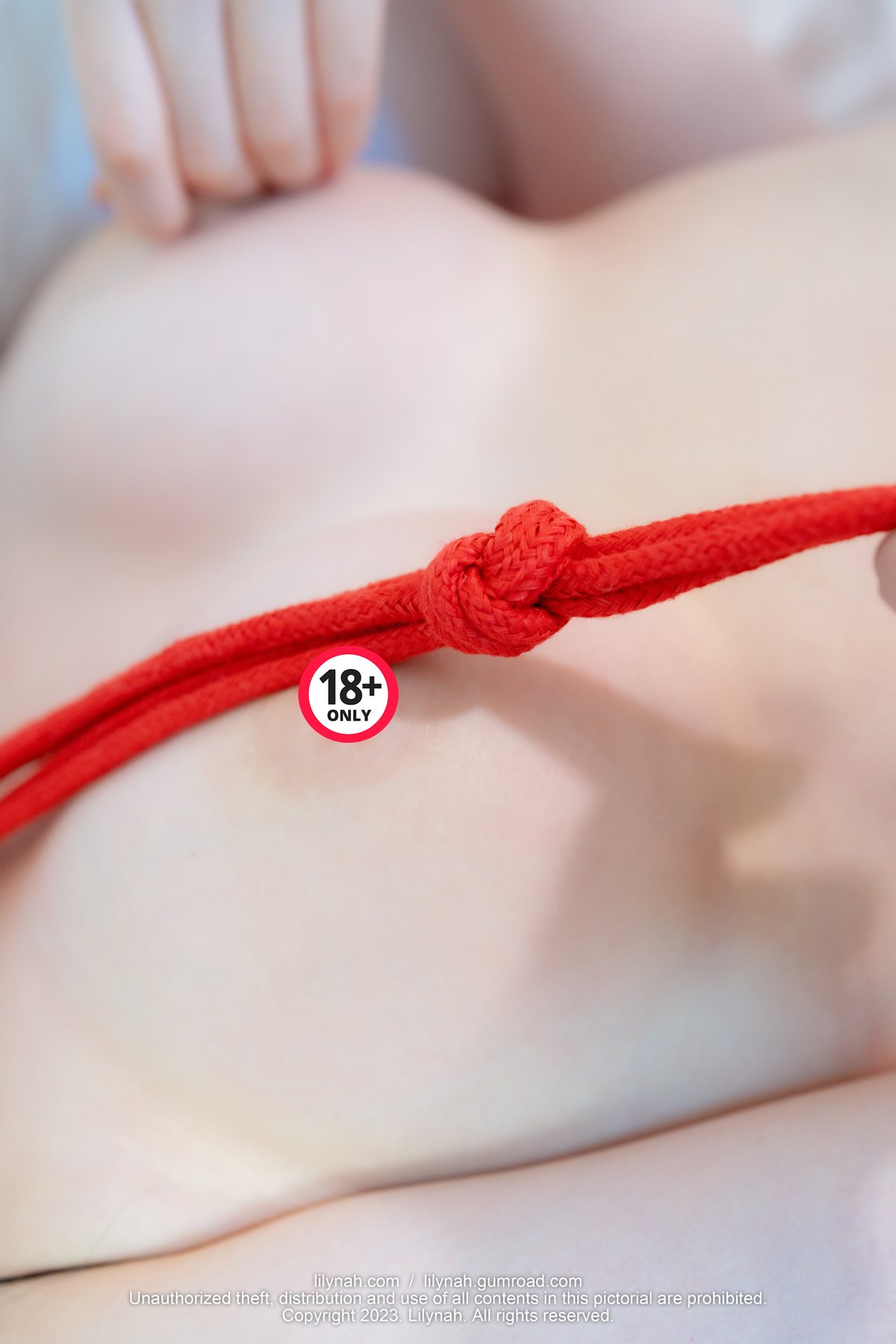 Lilynah LW071 Heejae Vol 3 Red Rope 0058 9462265277.jpg