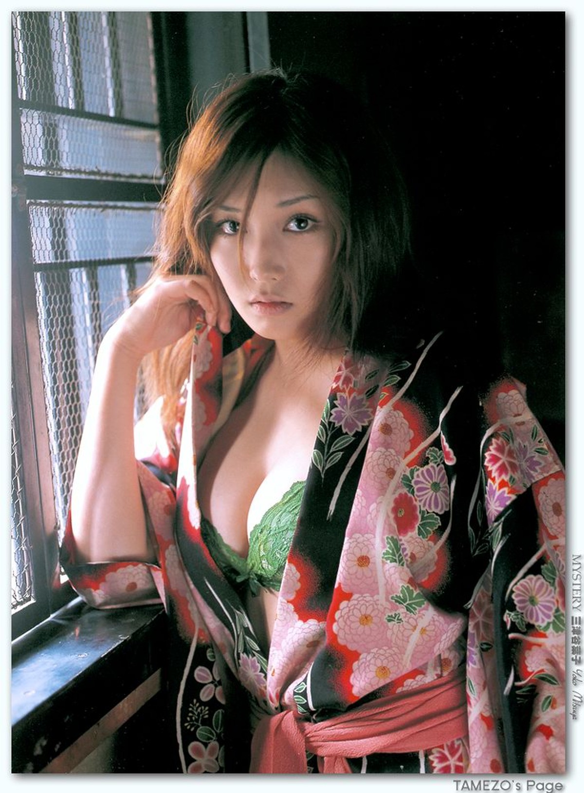 Photobook Mitsuya Yoko 三津谷葉子 MYSTERY Tamezo 0022 7206649357.jpg