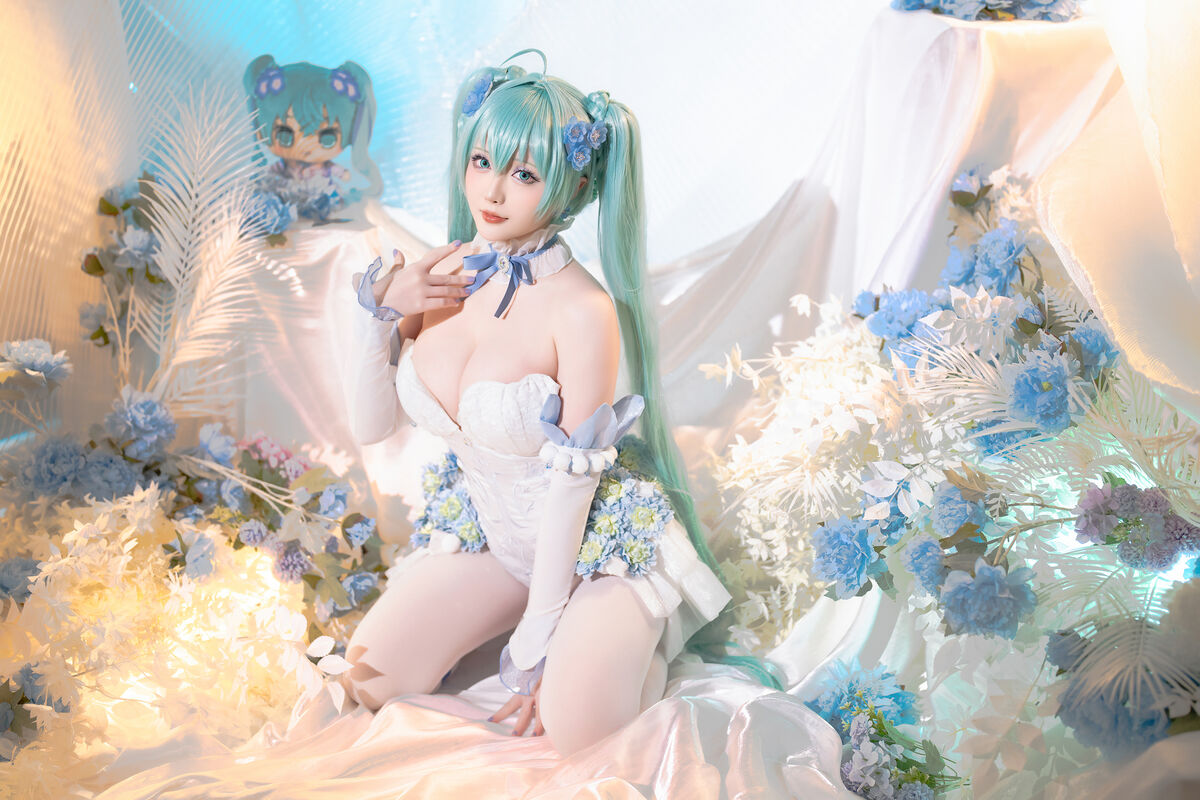 Coser@星之迟迟Hoshilily 2024年02月计划A 初音未来 粉蝶花精灵 0016 2324099219.jpg