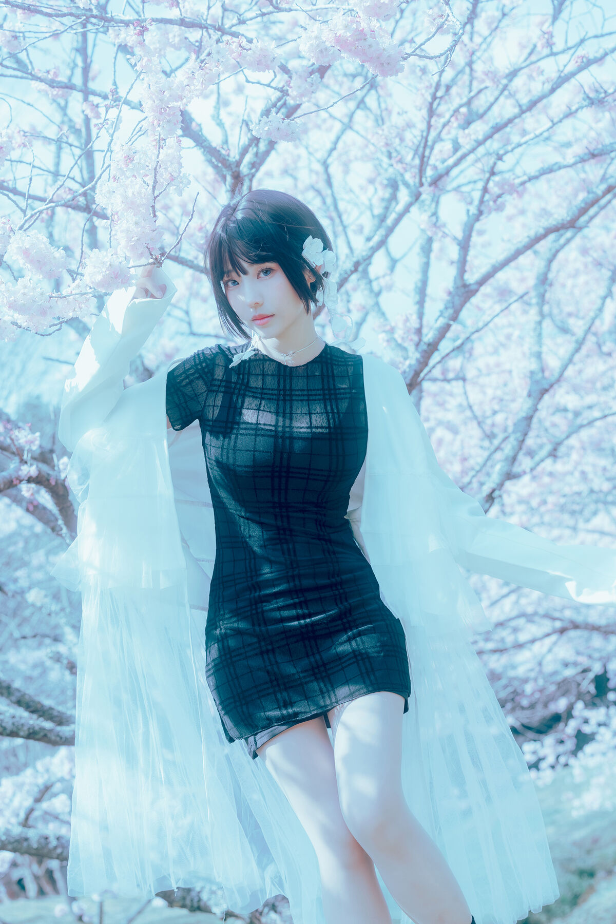 Coser@Elyee 2024年4月 Pink Sakura17 0004 5636215276.jpg