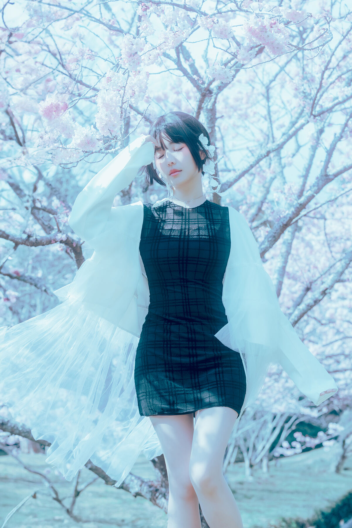 Coser@Elyee 2024年4月 Pink Sakura17 0005 3070083459.jpg