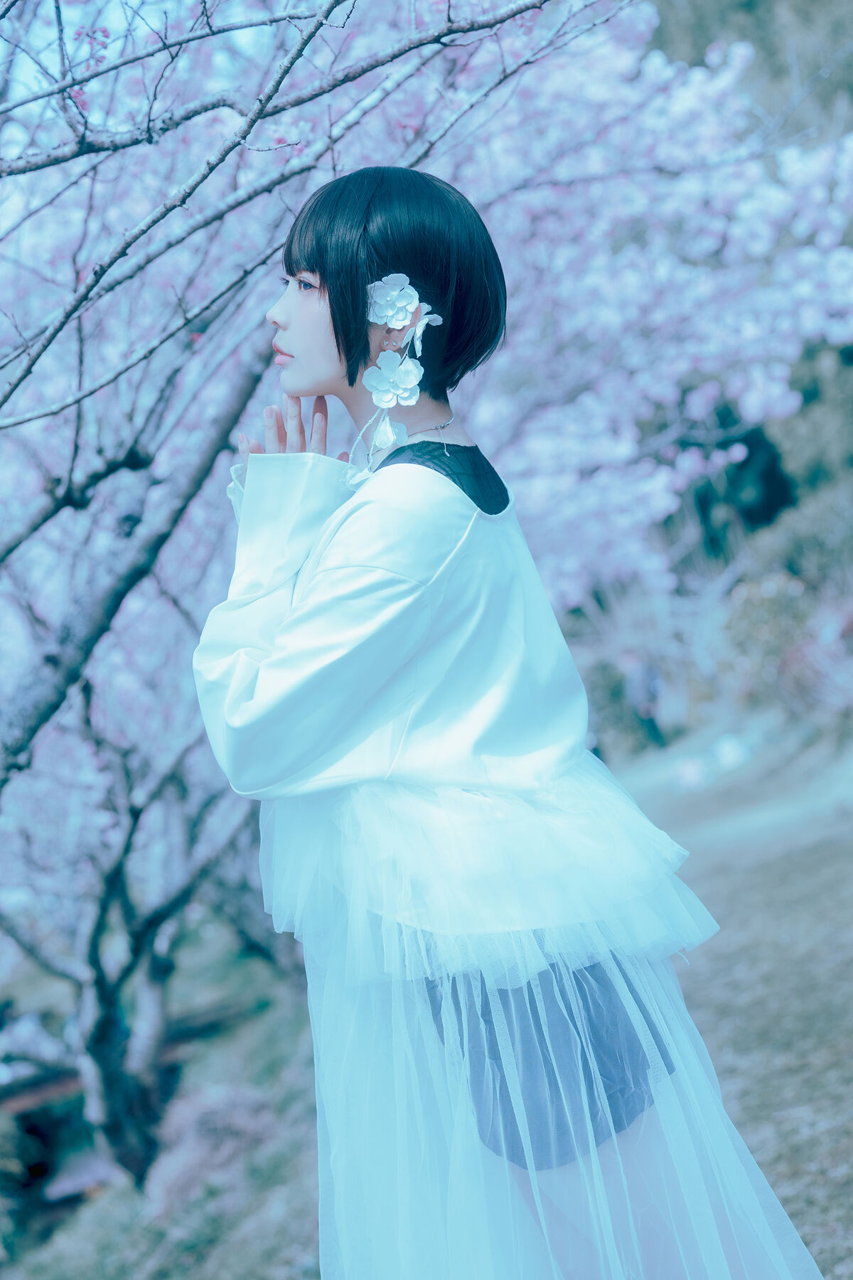 Coser@Elyee 2024年4月 Pink Sakura17 0012 1702978086.jpg