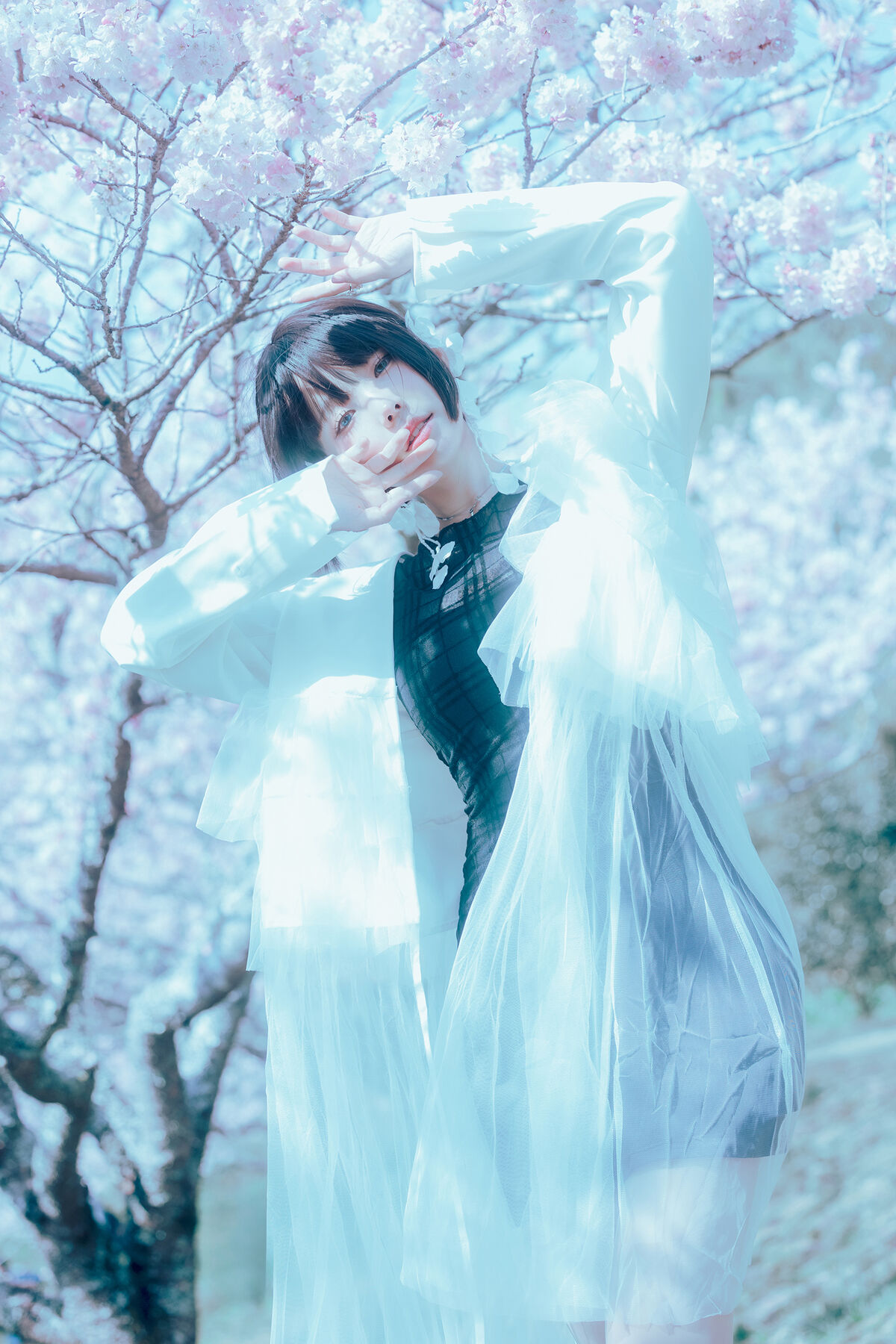 Coser@Elyee 2024年4月 Pink Sakura17 0042 7656399971.jpg