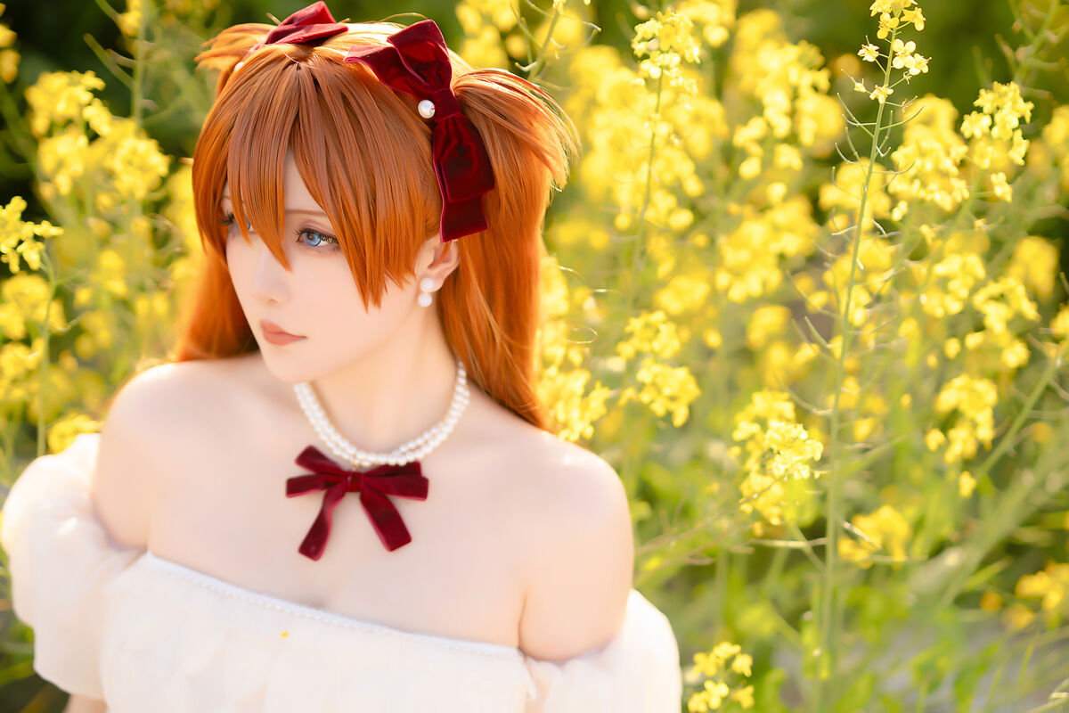 Coser@星之迟迟Hoshilily EVA 明日香花之语 0018 9068785164.jpg