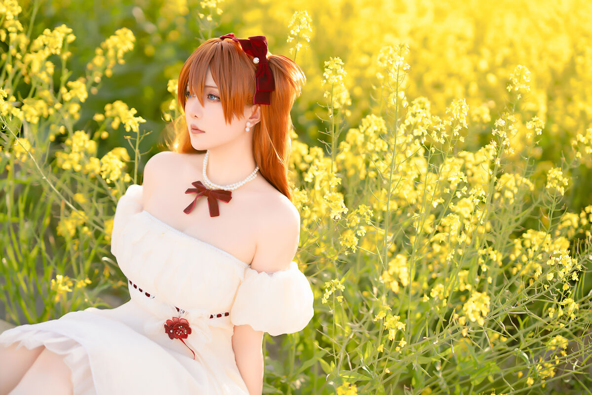 Coser@星之迟迟Hoshilily EVA 明日香花之语 0019 8240904494.jpg