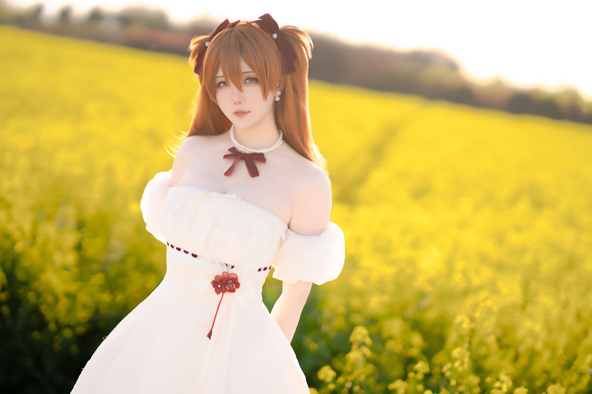 Coser@星之迟迟Hoshilily EVA 明日香花之语 0020 2485990916.jpg