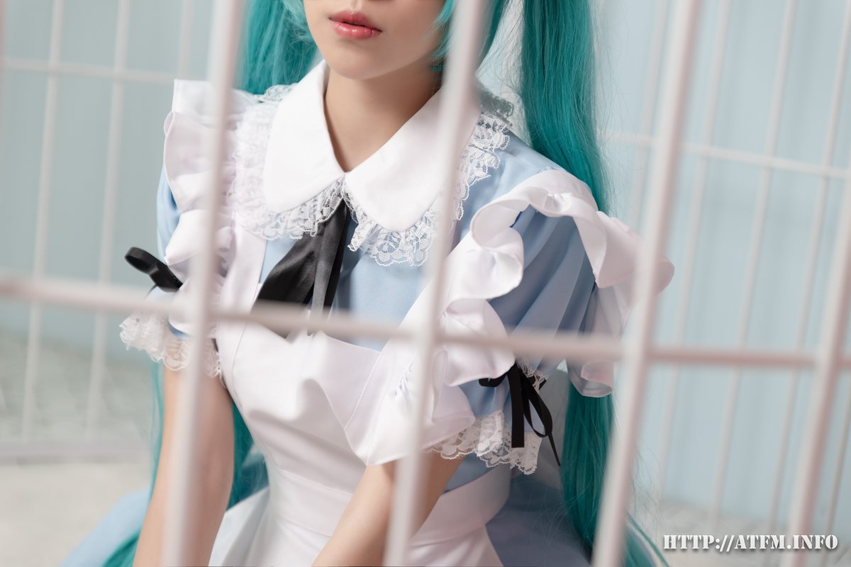 ATFM Vol.002 Iris Miku Maid 0017 3555806903.jpg