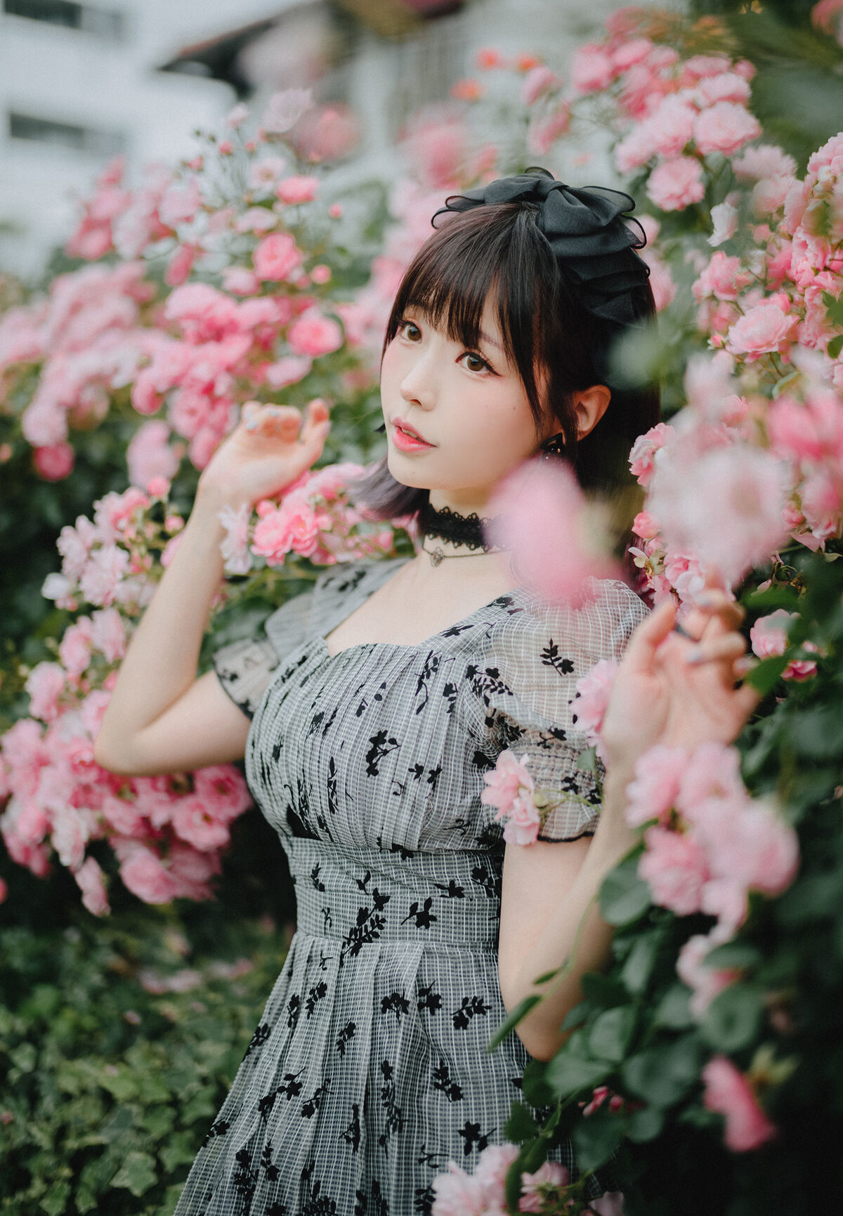 Coser@ElyEE子 Ely_eee 雨後玫瑰 0018 2633766076.jpg